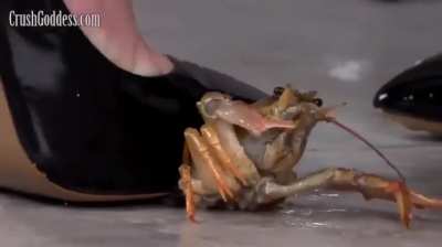 Milena Crush Goddess Crawdad Crush - Bug Crushed