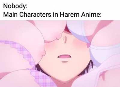 Main characters in harem anime be like... [Dokyuu Hentai HxEros]