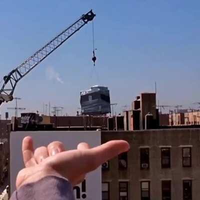 Swedish spider🕷🇸🇪