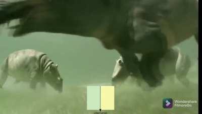 What the fuck do Libcenters think about all day?