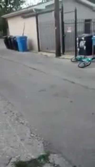 Да, что этот мелкий негр себе позволяет..?!