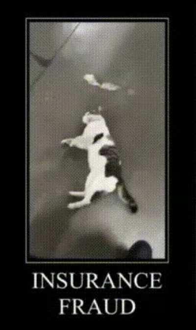 These insurance fraudsters are getting so brazen in their scam attempts!