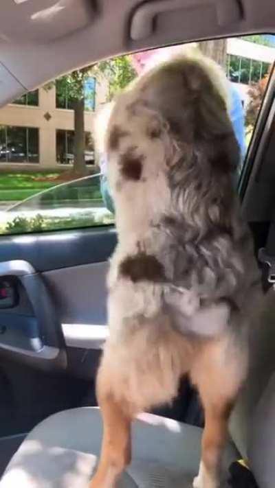 Shake Shake Shake Senora!