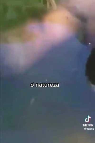 Eu identifiquei agora