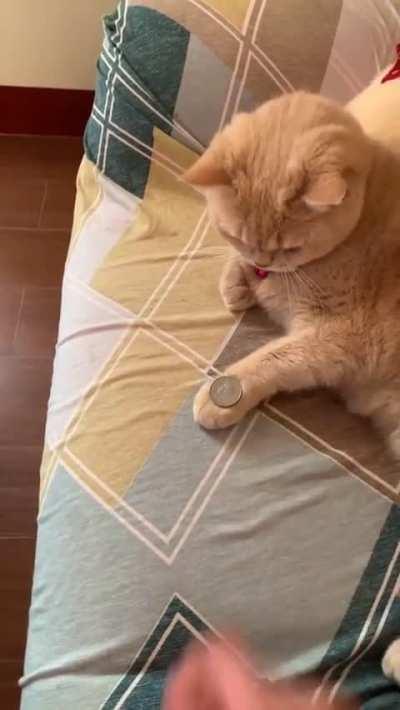 Magician's assistant