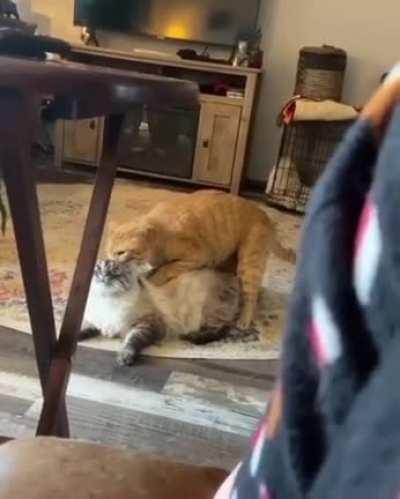 Wtf are you doing bro