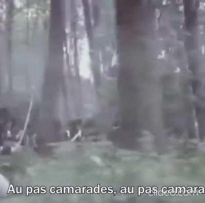 OH NO, OH GOD, BIDEN OPENED THE ONION VAULT!!!