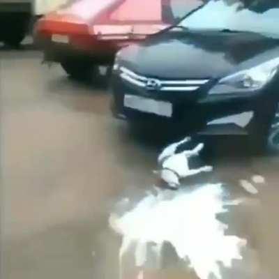 ;-; aAAAAAAAAAAAAAAAAAAAAAAAAA