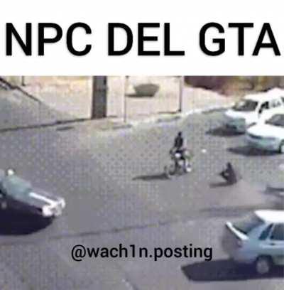 NPC DEL GTA CAPTADO EN CAMARA