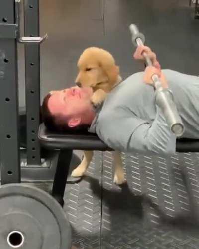 I hope his name is Spot