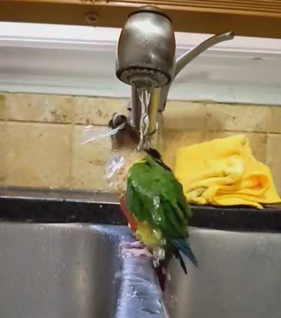 Easy, breezy, beautiful