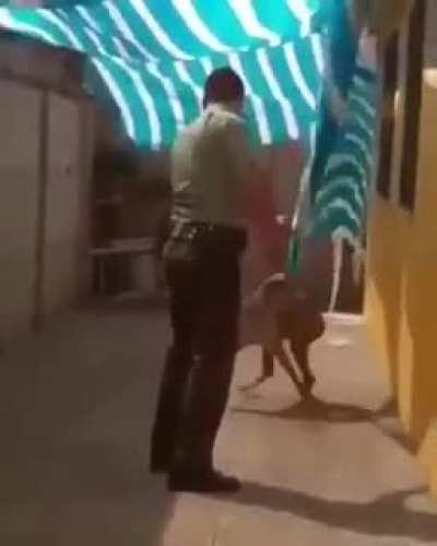 A Brave Policeman Save dog life