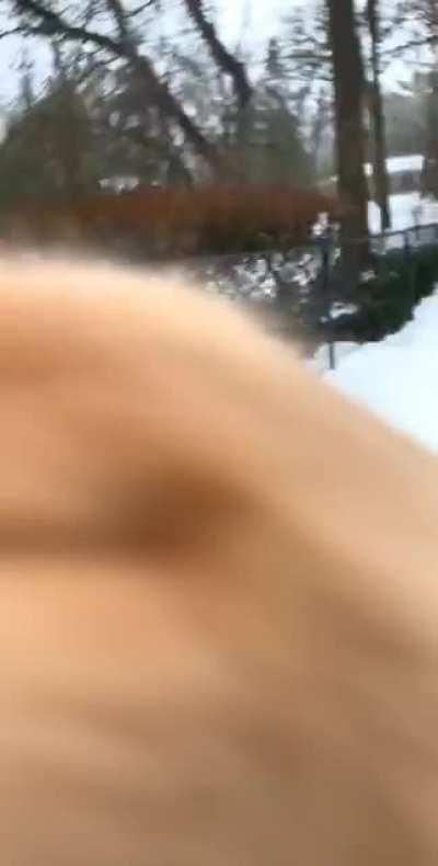 Personal tip: don’t make eye contact during zoomies