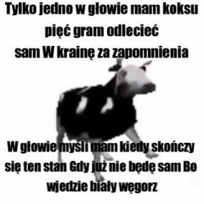 [OC] Tylko jedno w głowie mam koksu pięć gram odlecieć sam W krainę za zapomnienia
