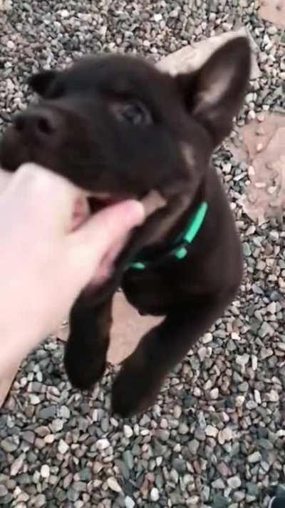 We’re working on it