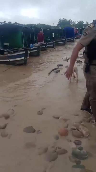 Autoridades navales de Bolivia aparecieron en suelo argentino y secuestraron hojas de coca de un grupo de pasadores