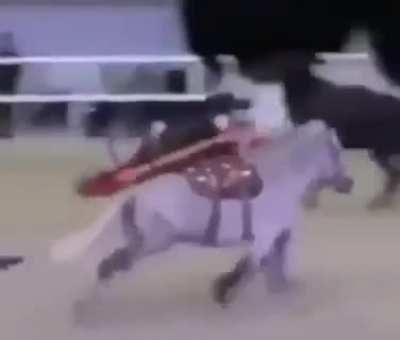 Ambulance horse at your service