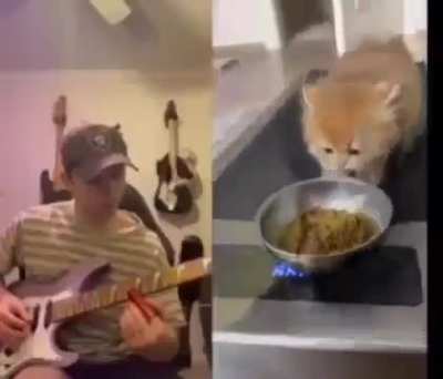 corruptum’s exercising video dump (55/20)