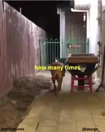 Dude watch how I do it