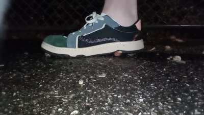 Most snails in one video (6) 2022