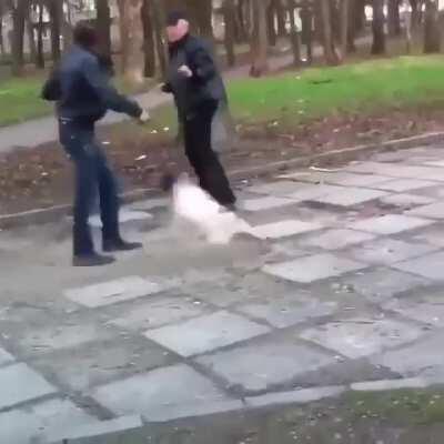 Prohibited street martial arts techniques