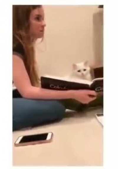 Why did it have to be Calculus?