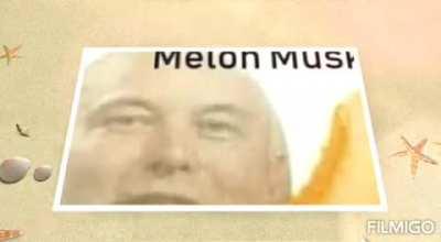 MELON MUSK 😔👊