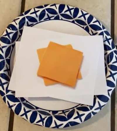 And they say you can’t eat good in a bear market 🤣🐕🧡