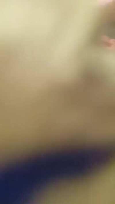 This is my protector of the bed! He first attacks whatever comes then stiffs it and decides if he is gonna attack it again! Comes in handy when other people come in! No chance they are gonna get on the bed.