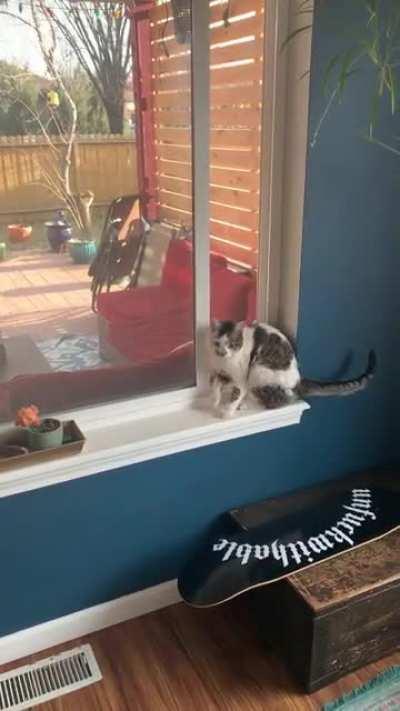 Squeezed between the window and the screen