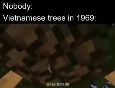 They're in the trees