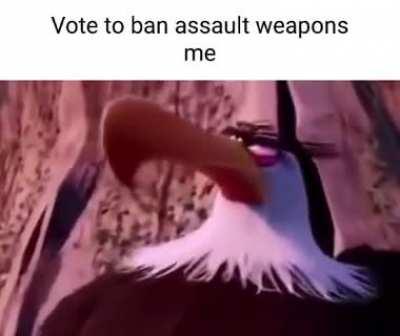 Remember to vote for people who will protect our rights!