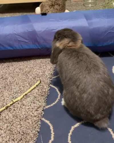 Gary, “We shall rise above!”