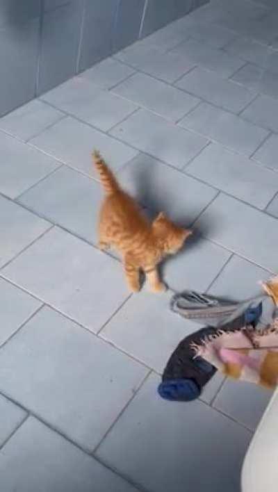 I think this belongs here.