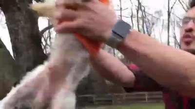 Learn Geography with Markiplier