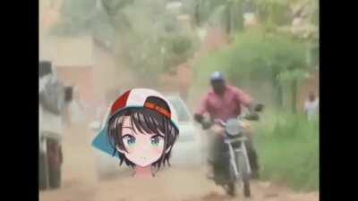 What am I doing with my life