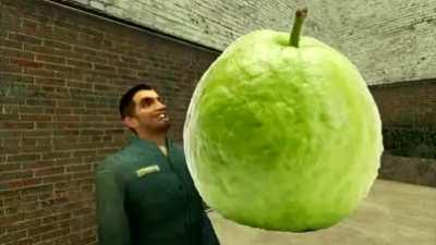 Qm se lembra da história da goiaba