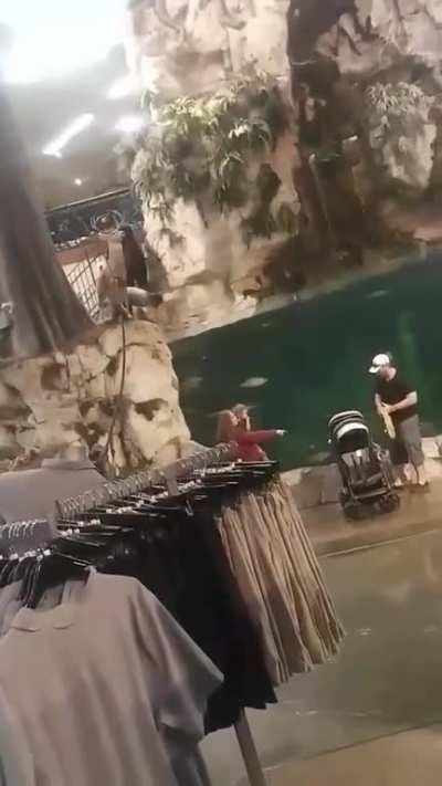 Guy decided to take a swim at Bass Pro