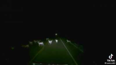 If you’re gonna hit one, you might as well hit them all