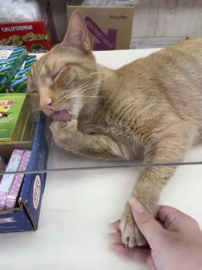 I think I found the melm button, but still no braincell here