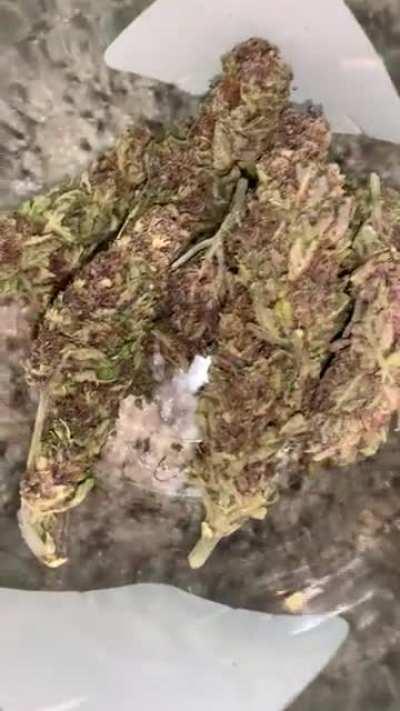 Some PREMIUM Blueberry muffin smell is mouthwatering🤌🏻