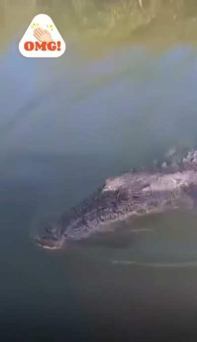 Ill scream like that too