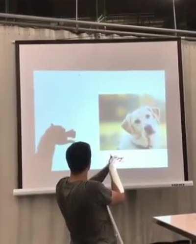 This guy's shadow puppets