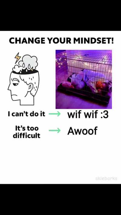 happy puppy noises :3