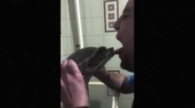 trying to kiss a turtle