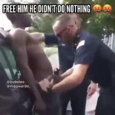 systemic amerikkkan racism