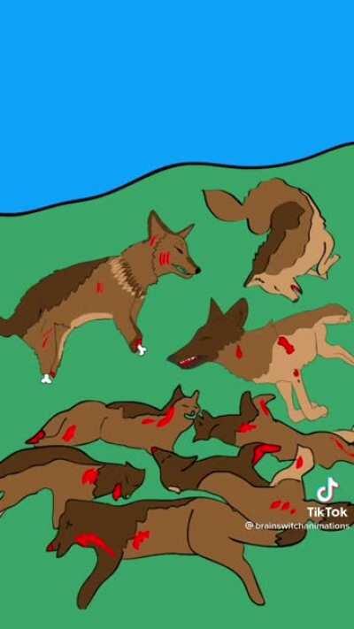 Dont fuck with pirbulls