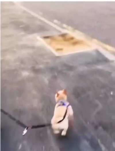 They have no idea what is happening 😂