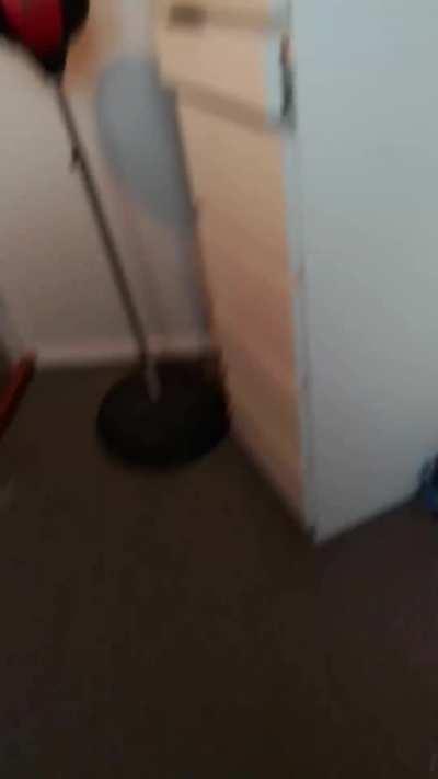 Rate my oof out of 100 and this is no edit no fake this is real rate mine tho pls:)