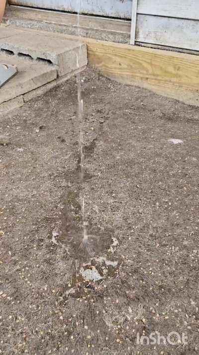 He actually likes this.